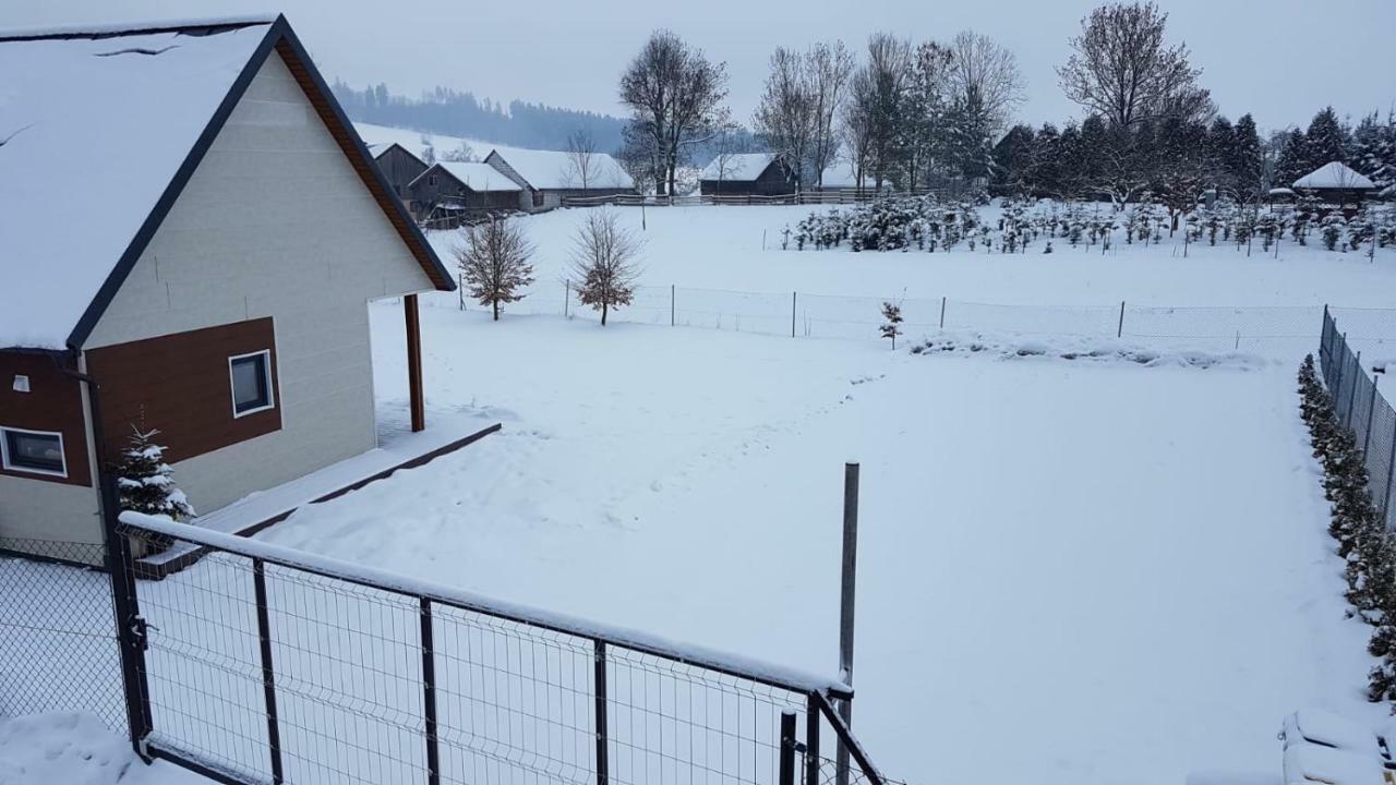 Jula - Apartamenty W Kudowie-Zdroj クドヴァ・ズドゥルイ エクステリア 写真